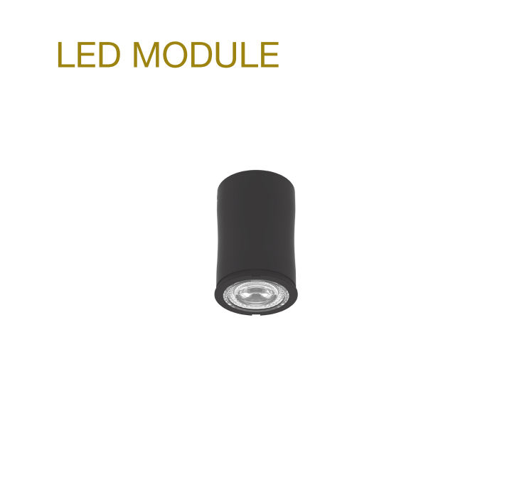 LED Module