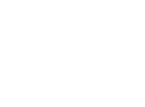 AN